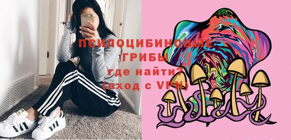 МДМА Карпинск