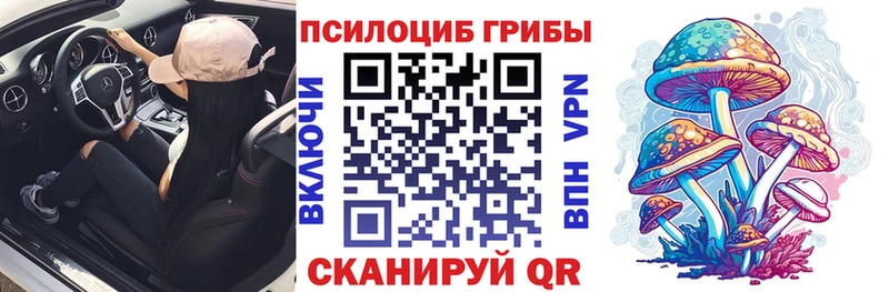 Купить закладки  Красногорск  Псилоцибиновые грибы мицелий